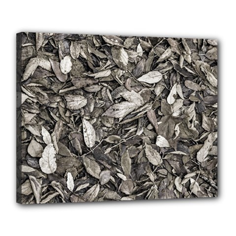 Black And White Leaves Pattern Canvas 20  X 16  by dflcprints