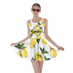Lemons Print Skater Dress by CasaDiModa