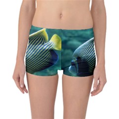 Angelfish 4 Reversible Boyleg Bikini Bottoms by trendistuff
