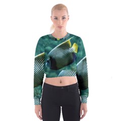 Angelfish 4 Cropped Sweatshirt by trendistuff