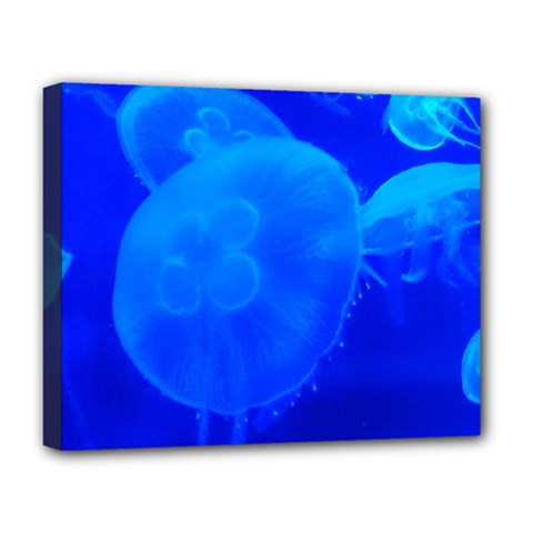 Blue Jellyfish 1 Deluxe Canvas 20  X 16   by trendistuff