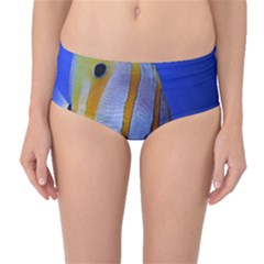 Butterfly Fish 1 Mid-waist Bikini Bottoms by trendistuff