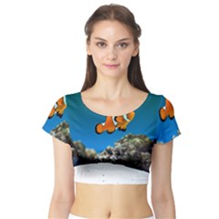 CLOWNFISH 1 Short Sleeve Crop Top