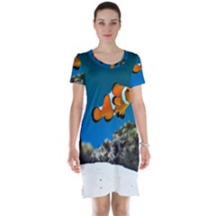 CLOWNFISH 1 Short Sleeve Nightdress