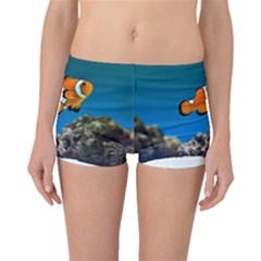 CLOWNFISH 1 Boyleg Bikini Bottoms