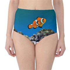 CLOWNFISH 1 High-Waist Bikini Bottoms