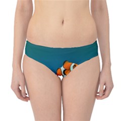 CLOWNFISH 1 Hipster Bikini Bottoms