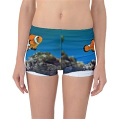 CLOWNFISH 1 Reversible Boyleg Bikini Bottoms