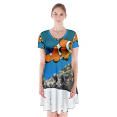 CLOWNFISH 1 Short Sleeve V-neck Flare Dress