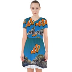 CLOWNFISH 1 Adorable in Chiffon Dress