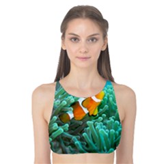 Clownfish 3 Tank Bikini Top by trendistuff