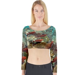 CORAL GARDEN 1 Long Sleeve Crop Top