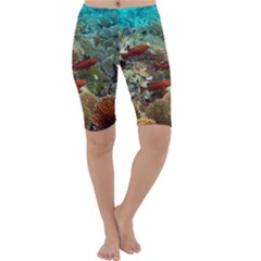 CORAL GARDEN 1 Cropped Leggings 