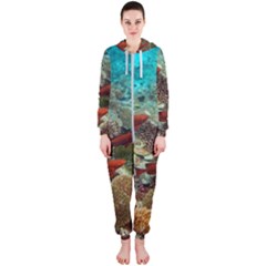 CORAL GARDEN 1 Hooded Jumpsuit (Ladies) 