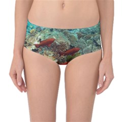 Coral Garden 1 Mid-waist Bikini Bottoms by trendistuff
