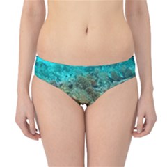 Coral Garden 1 Hipster Bikini Bottoms by trendistuff