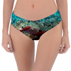 Coral Garden 1 Reversible Classic Bikini Bottoms by trendistuff