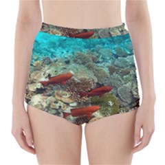 CORAL GARDEN 1 High-Waisted Bikini Bottoms