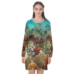 CORAL GARDEN 1 Long Sleeve Chiffon Shift Dress 