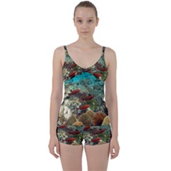 CORAL GARDEN 1 Tie Front Two Piece Tankini