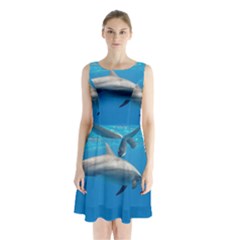 Dolphin 3 Sleeveless Waist Tie Chiffon Dress by trendistuff