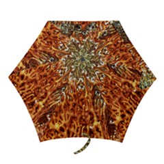 Fire Coral 1 Mini Folding Umbrellas by trendistuff