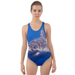Great White Shark 5 Cut-out Back One Piece Swimsuit by trendistuff
