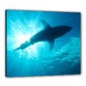 GREAT WHITE SHARK 6 Canvas 24  x 20  View1