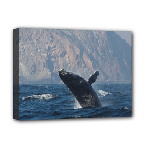 Humpback 1 Deluxe Canvas 16  X 12   by trendistuff