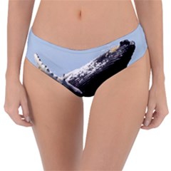 Humpback 2 Reversible Classic Bikini Bottoms by trendistuff