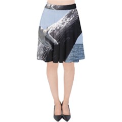 Humpback 2 Velvet High Waist Skirt by trendistuff