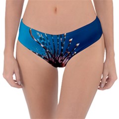 Lionfish 1 Reversible Classic Bikini Bottoms by trendistuff