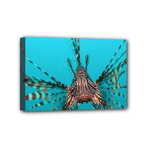 Lionfish 2 Mini Canvas 6  X 4  by trendistuff