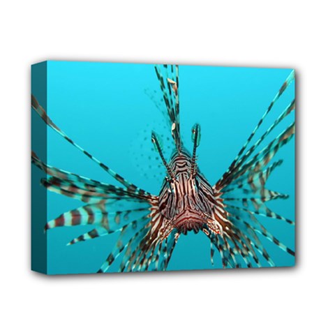 Lionfish 2 Deluxe Canvas 14  X 11 