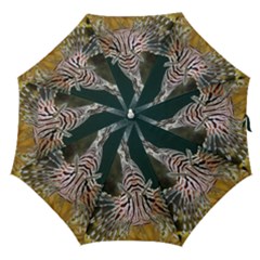 Lionfish 4 Straight Umbrellas by trendistuff