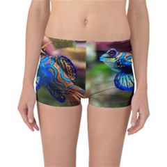 Mandarinfish 1 Reversible Boyleg Bikini Bottoms by trendistuff