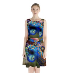 Mandarinfish 1 Sleeveless Waist Tie Chiffon Dress by trendistuff