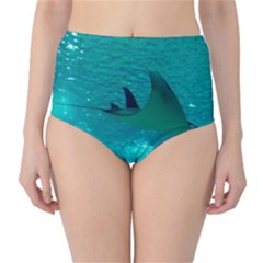 Manta Ray 1 High-waist Bikini Bottoms by trendistuff