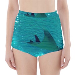 MANTA RAY 1 High-Waisted Bikini Bottoms