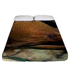 Moray Eel 1 Fitted Sheet (king Size) by trendistuff