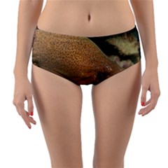 Moray Eel 1 Reversible Mid-waist Bikini Bottoms by trendistuff