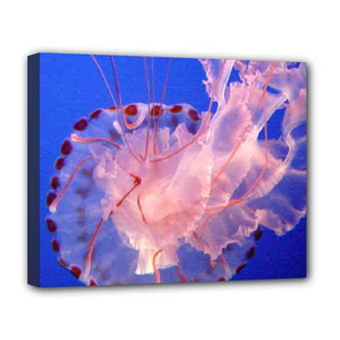 Purple Jellyfish Deluxe Canvas 20  X 16   by trendistuff