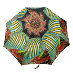 Regal Angelfish Folding Umbrellas by trendistuff