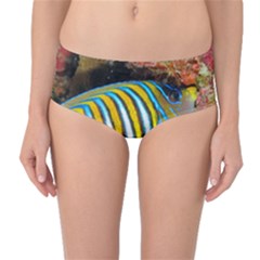 Regal Angelfish Mid-waist Bikini Bottoms by trendistuff