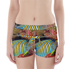 Regal Angelfish Boyleg Bikini Wrap Bottoms by trendistuff