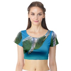 Sea Turtle 2 Short Sleeve Crop Top by trendistuff