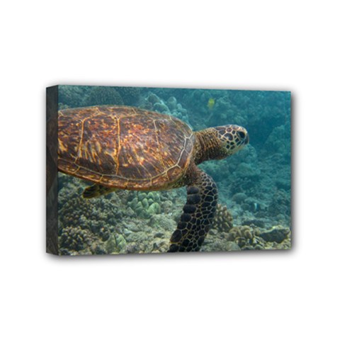 Sea Turtle 3 Mini Canvas 6  X 4  by trendistuff