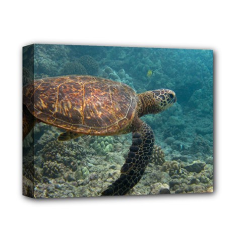 Sea Turtle 3 Deluxe Canvas 14  X 11  by trendistuff