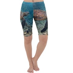 Sea Turtle 3 Cropped Leggings 