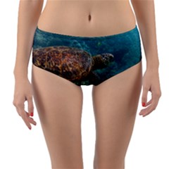 Sea Turtle 3 Reversible Mid-waist Bikini Bottoms by trendistuff